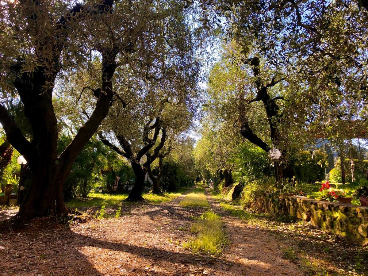Alojamento de Turismo Rural Montefabbrello Magazzini (Tuscany)